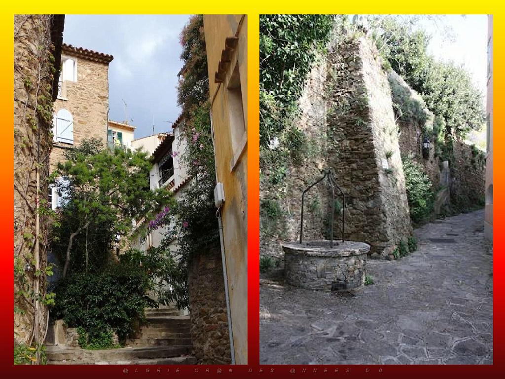 183 D25 BORMES LES MIMOSAS 3_000034.jpg